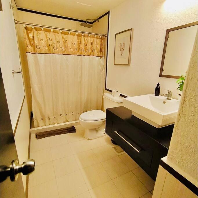 Ferienwohnung Departamento Con Ubicacion Unica Playa del Carmen Exterior foto